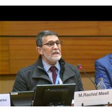 Rachid Mesli during a seminar on Tunisia